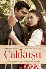 Çalıkuşu son bölüm ve eski bölümleri buradan izleyebilirsin!