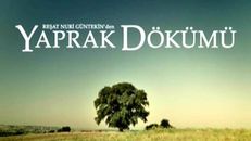 Yaprak Dökümü 70.Bölüm izle