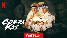 Cobra Kai 6.Sezon 14.Bölüm izle