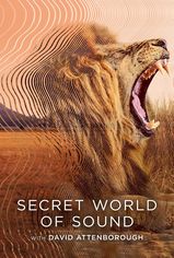Secret World of Sound with David Attenborough son bölüm ve eski bölümleri buradan izleyebilirsin!