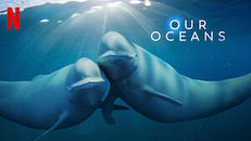 Our Oceans 1.Sezon 2.Bölüm izle