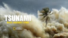 Tsunami: Race Against Time 1.Sezon 1.Bölüm izle