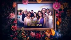 Sandık Kokusu 31.Bölüm izle