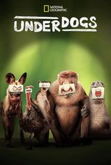 Underdogs son bölüm ve eski bölümleri buradan izleyebilirsin!