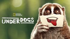 Underdogs 1.Sezon 2.Bölüm izle