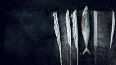 Turn of the Tide: The Surreal Story of Rabo de Peixe izle