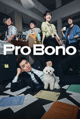 Pro Bono son bölüm izle